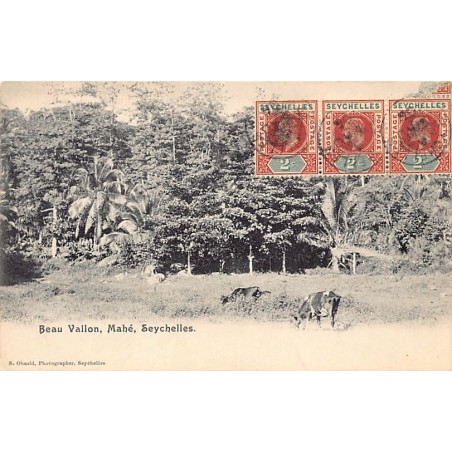 Rare collectable postcards of SEYCHELLES. Vintage Postcards of SEYCHELLES